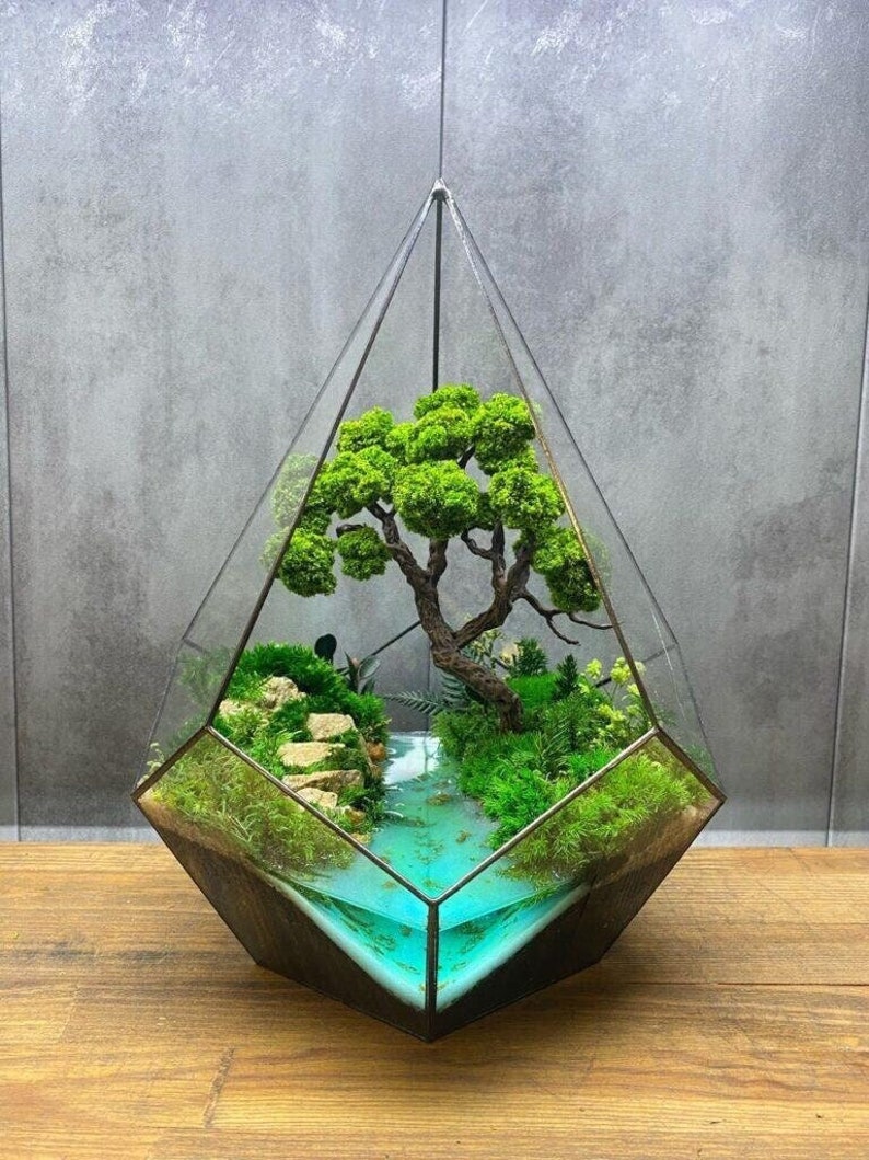 Crystal pyramid with preserved moss Bonsai by the river, Desk Planter, Geometric terrarium moss art, Unique home decor, Plant accessories