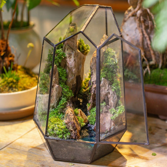 Geometric Terrarium with Mountain, Stream, Preserved Moss Mini Ecosystem Valley Landscape Mountain Terrarium with Door Home Desk Decor Gift