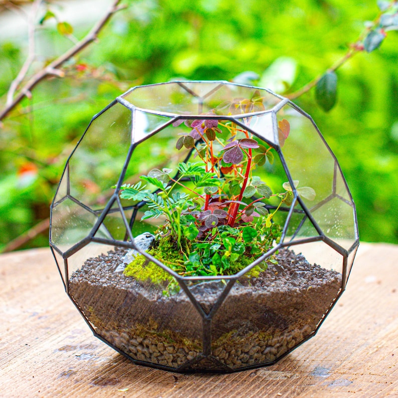 Handmade Ball Irregular Glass Open/ Close Terrarium for Plants, Propagation Station Geometric Planter, for Plant, Succulent, Terrarium Only
