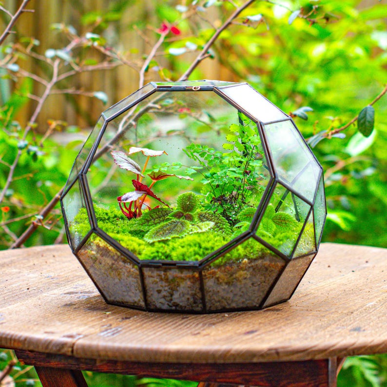 Handmade Moon Glass Terrarium: Geometric Propagation Station, Close/ Open Planter (Plants Excluded)