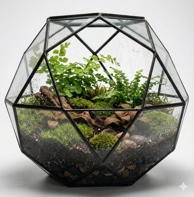 Geometric Terrarium Kit with Live Plants & Moss | 10" Wardian Case Closed Terrarium DIY Kit, Bioactive Science Kit, Gift for Plant Lovers