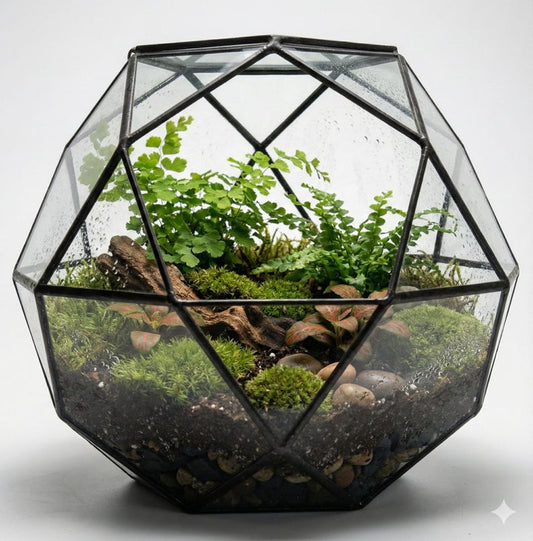 Geometric Terrarium Kit with Live Plants & Moss | 10" Wardian Case Closed Terrarium DIY Kit, Bioactive Science Kit, Gift for Plant Lovers