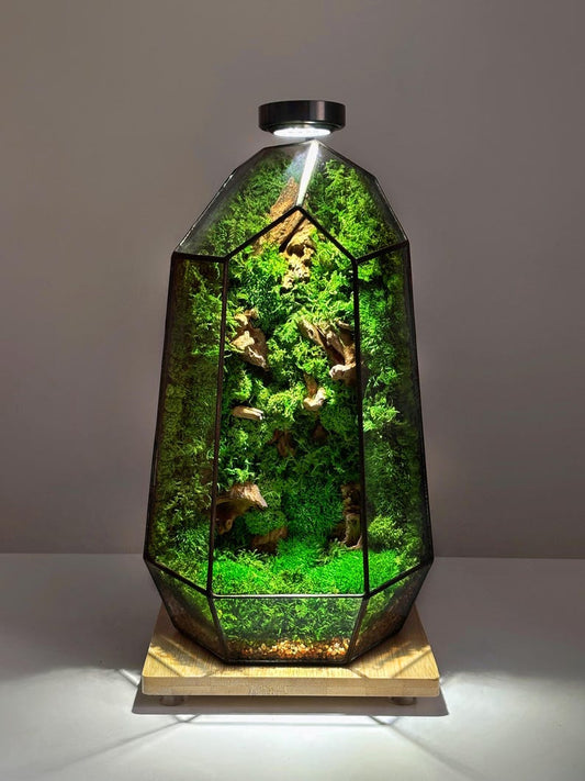 Illuminated Geometric Terrarium with Preserved Moss, Wooden Decor & LED Lamp Included | Modern Glass Tabletop Decor | No Water