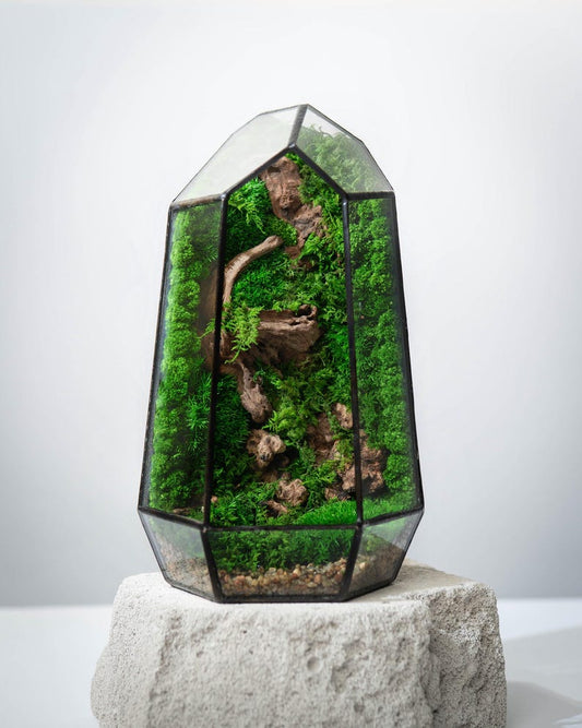 Geometric Glass Moss Terrarium | Preserved Moss & Driftwood Decor | Low Maintenance Modern Home Accent | Handmade Gift