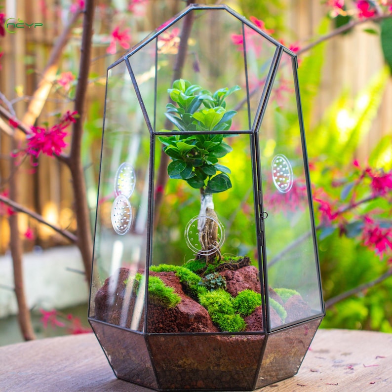 US Domestic Handmade Extra Large Glass Terrarium with Vents, Tall Irregular Geometric Tropical Terrarium, 16 inch, Terrarium Only, PG01D4